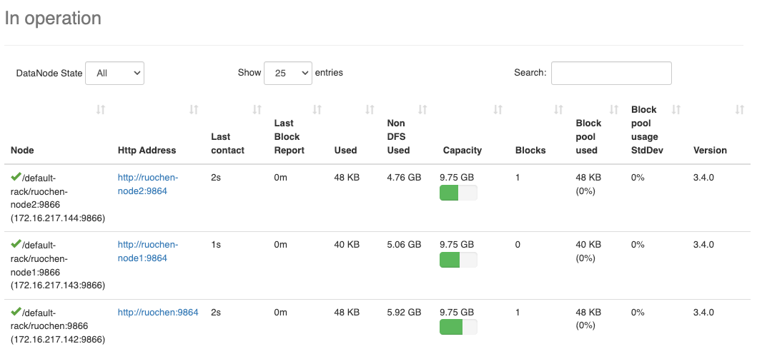 HDFS Cluster