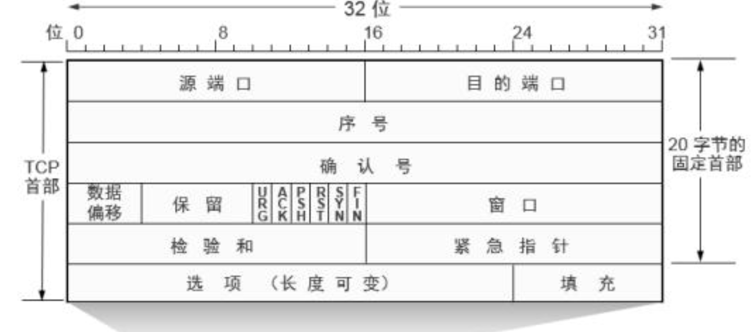 TCP报文格式