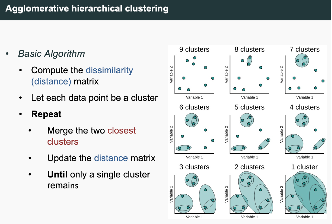 Agglomerative (Bottom-up) clustering