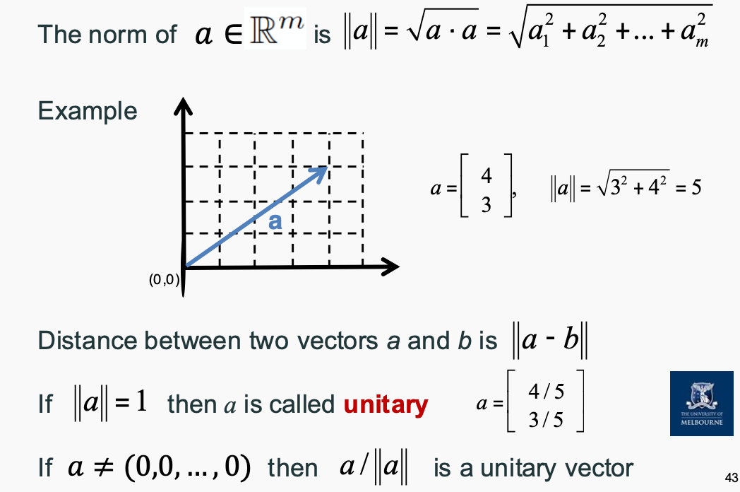 Verctor Euclidean Norm
